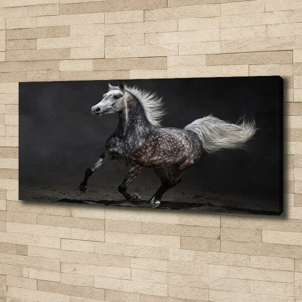 Canvas wall art Gray Arabian horse