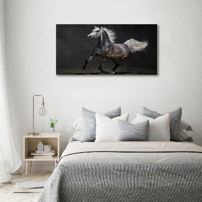 Canvas wall art Gray Arabian horse