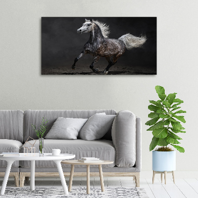 Canvas wall art Gray Arabian horse