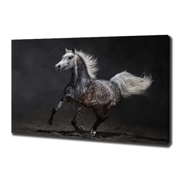 Canvas wall art Gray Arabian horse