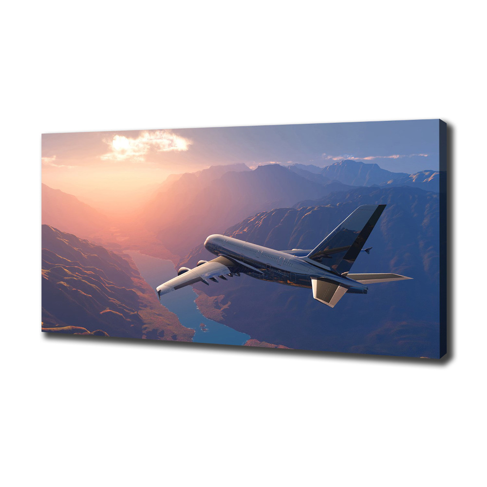 Canvas wall art Plane