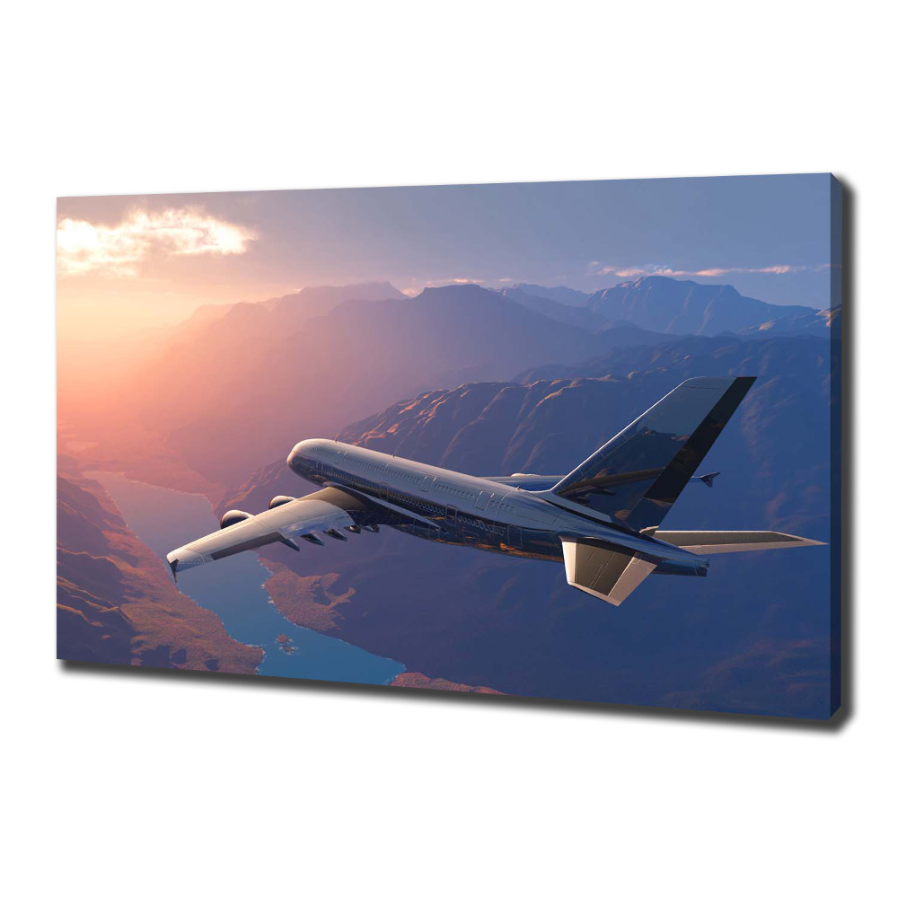 Canvas wall art Plane