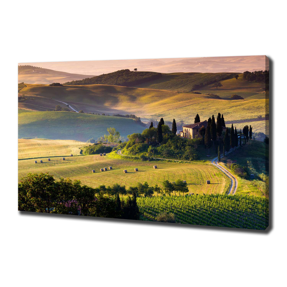 Canvas wall art Tuscany Italy