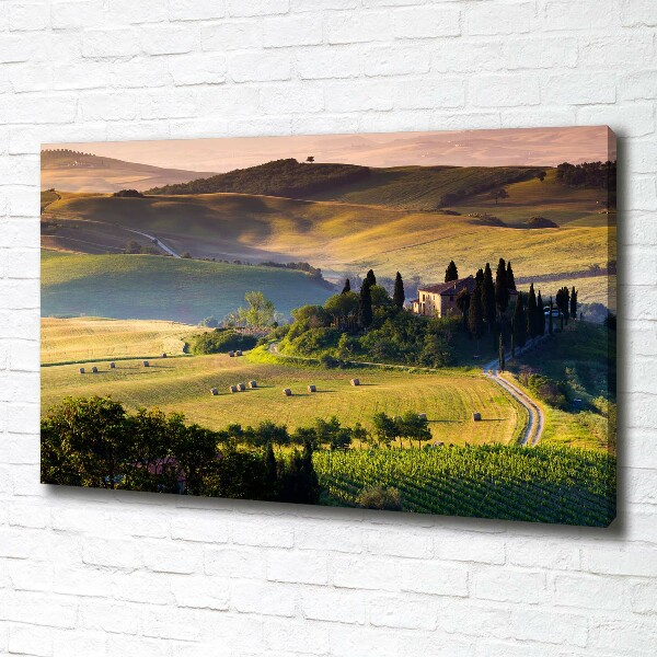 Canvas wall art Tuscany Italy