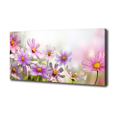 Canvas wall art Flowers in the meadow