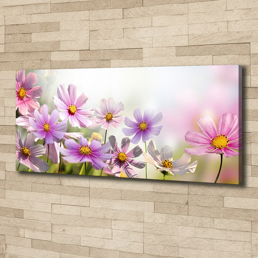 Canvas wall art Flowers in the meadow