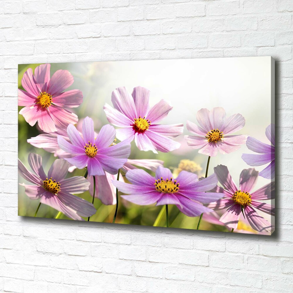 Canvas wall art Flowers in the meadow