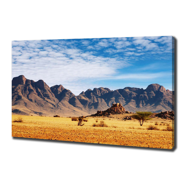 Canvas wall art Rocks in Namibia