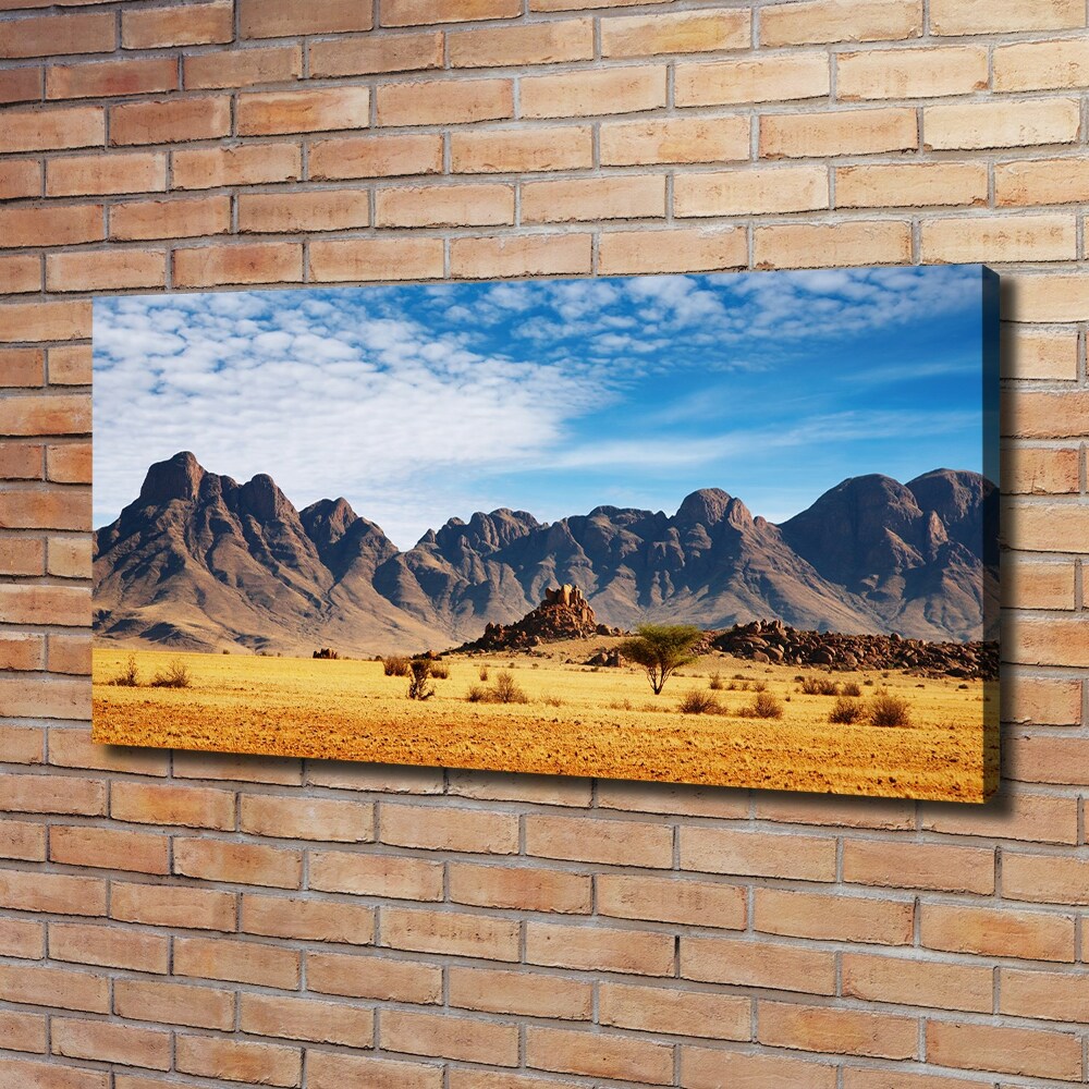 Canvas wall art Rocks in Namibia