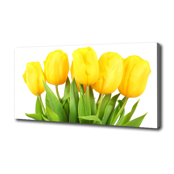 Yellow tulips