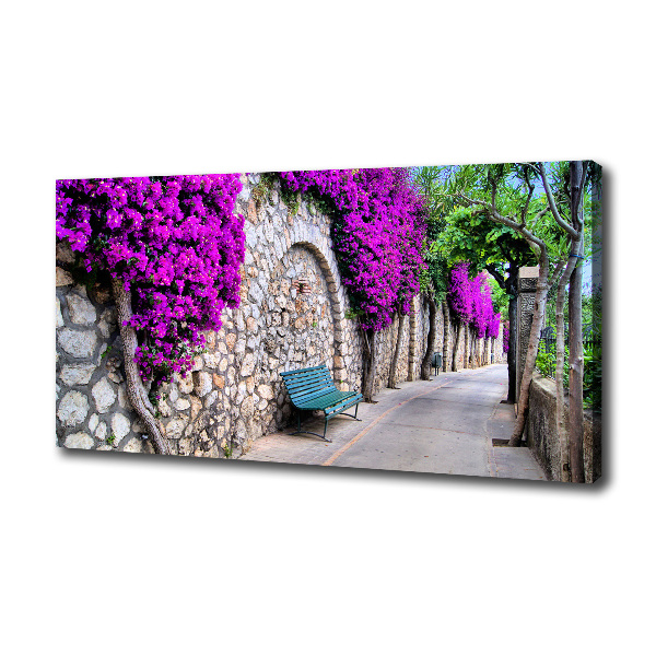 Canvas wall art Charming streets