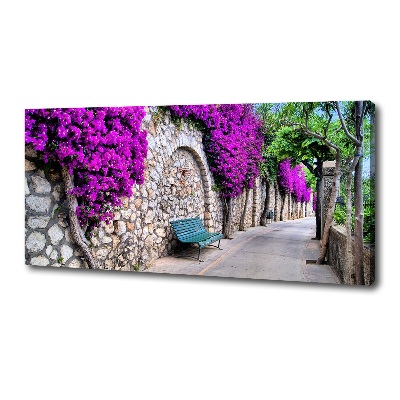 Canvas wall art Charming streets