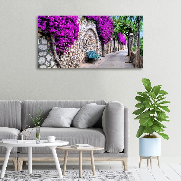 Canvas wall art Charming streets