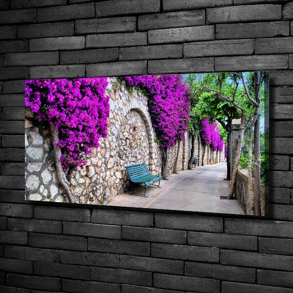 Canvas wall art Charming streets