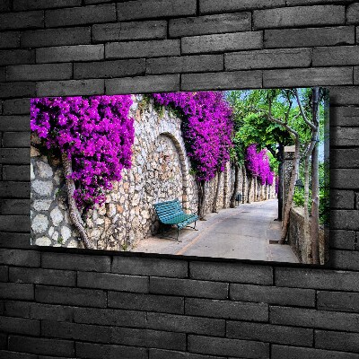 Canvas wall art Charming streets