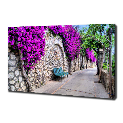 Canvas wall art Charming streets