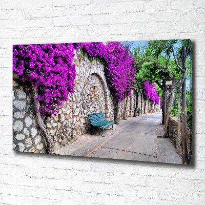 Canvas wall art Charming streets