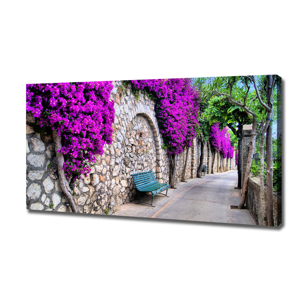 Canvas wall art Charming streets