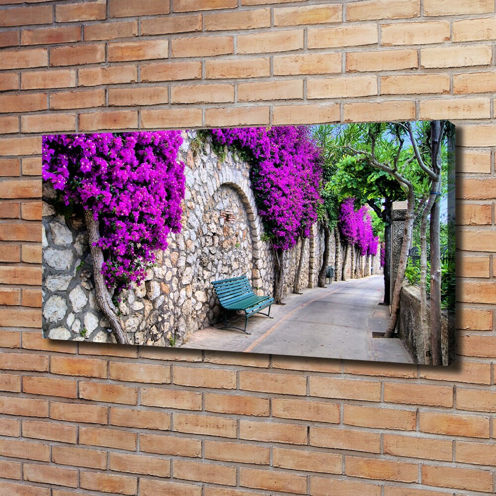 Canvas wall art Charming streets