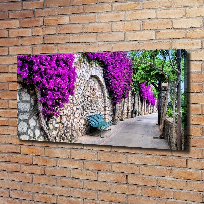 Canvas wall art Charming streets