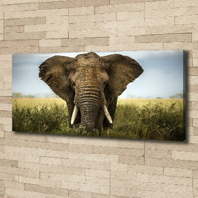 Wall art canvas large Elephant in the savanna