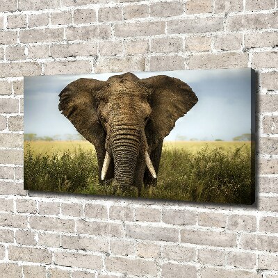 Wall art canvas large Elephant in the savanna