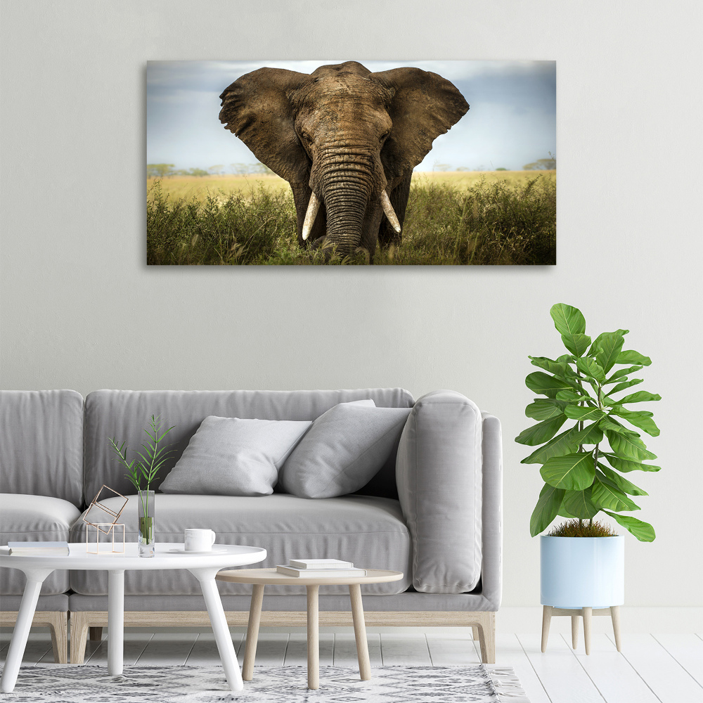 Wall art canvas large Elephant in the savanna