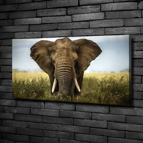 Wall art canvas large Elephant in the savanna