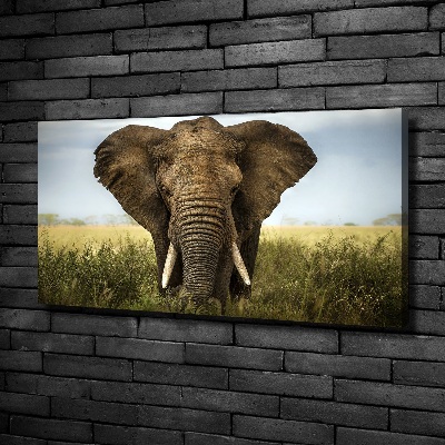 Wall art canvas large Elephant in the savanna