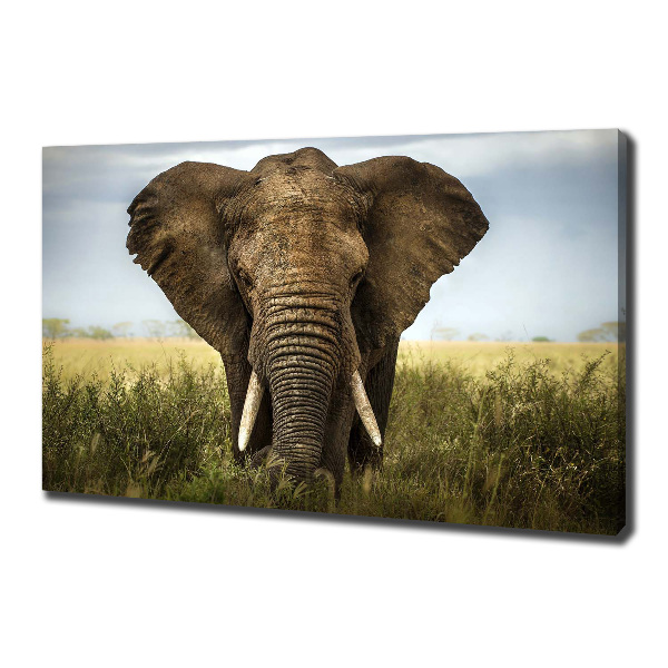 Wall art canvas large Elephant in the savanna