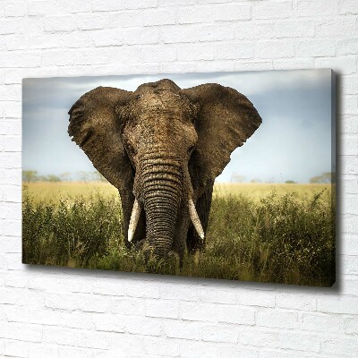 Wall art canvas large Elephant in the savanna