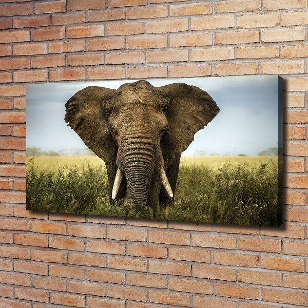 Wall art canvas large Elephant in the savanna