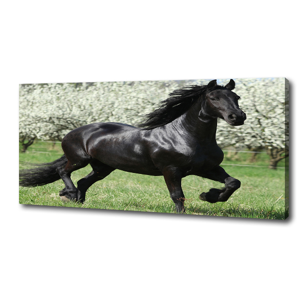 Canvas print Black horse flowers