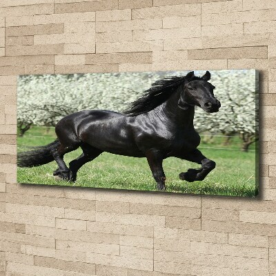 Canvas print Black horse flowers