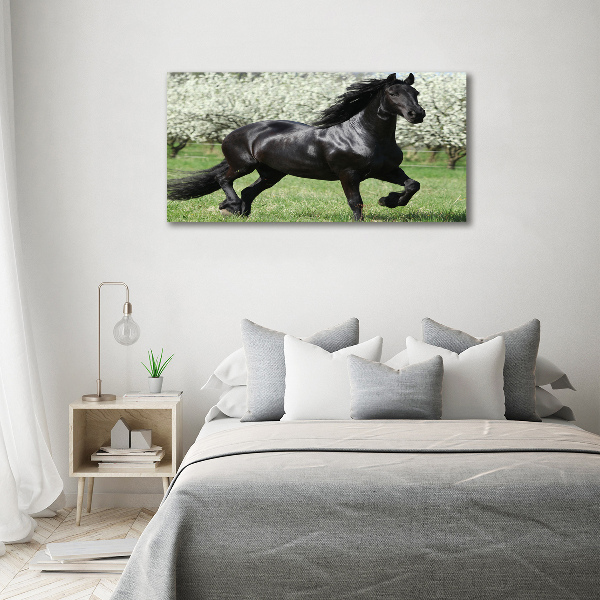 Canvas print Black horse flowers