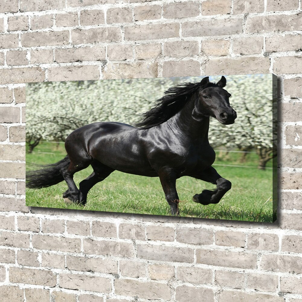 Canvas print Black horse flowers