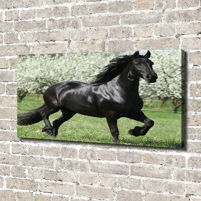 Canvas print Black horse flowers