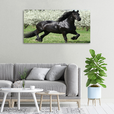 Canvas print Black horse flowers