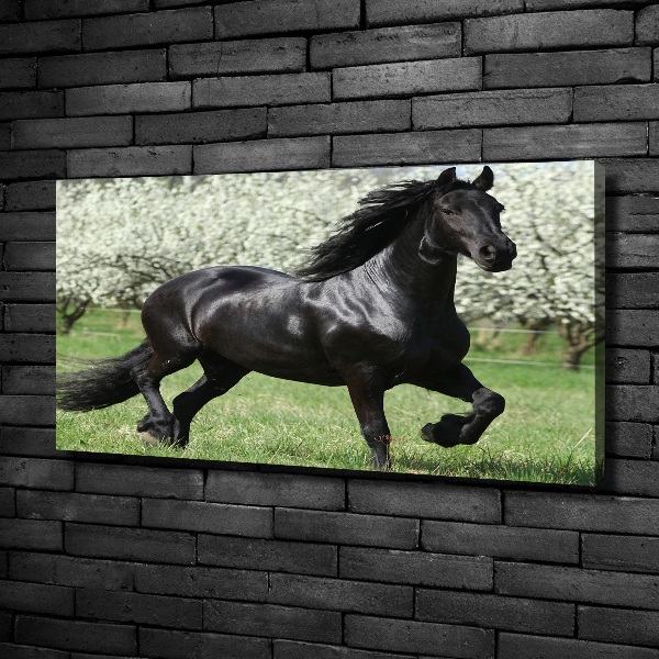 Canvas print Black horse flowers