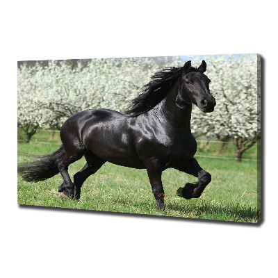 Canvas print Black horse flowers