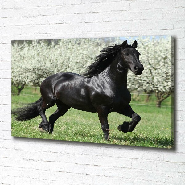 Canvas print Black horse flowers