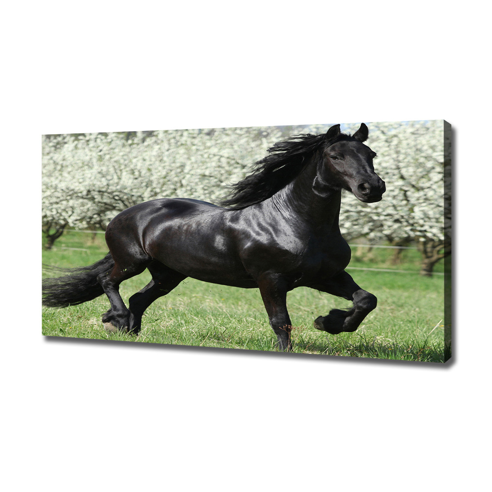 Canvas print Black horse flowers