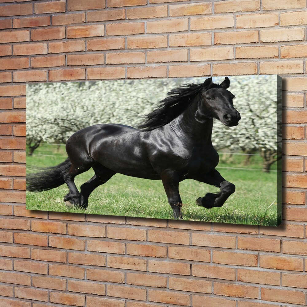 Canvas print Black horse flowers