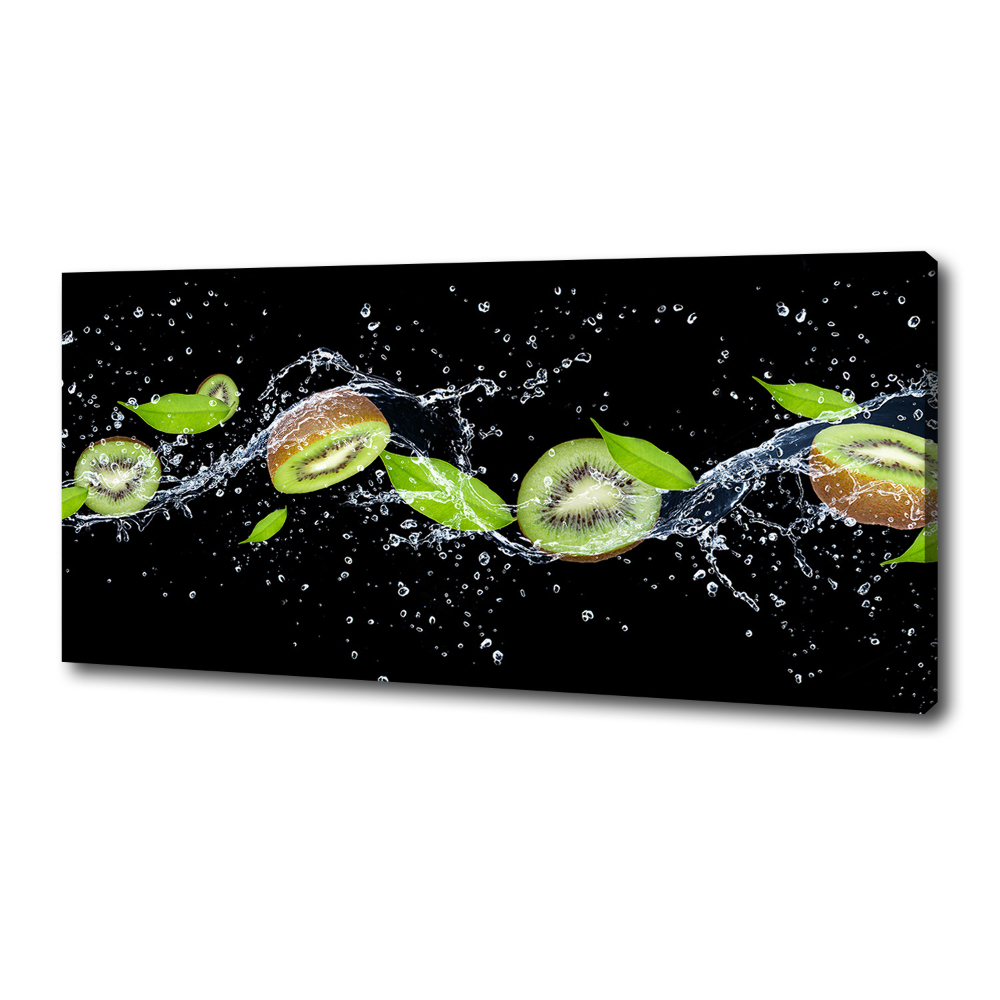 Canvas wall art Kiwi and water