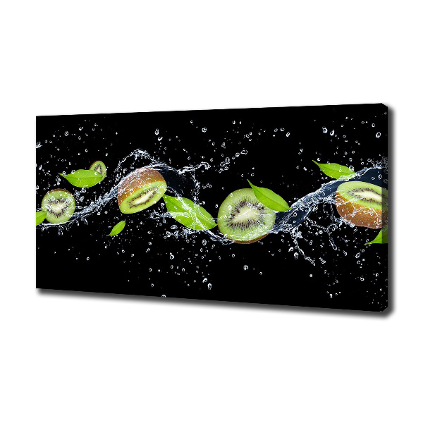 Canvas wall art Kiwi and water