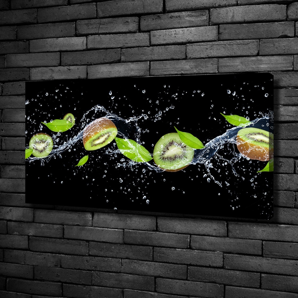 Canvas wall art Kiwi and water