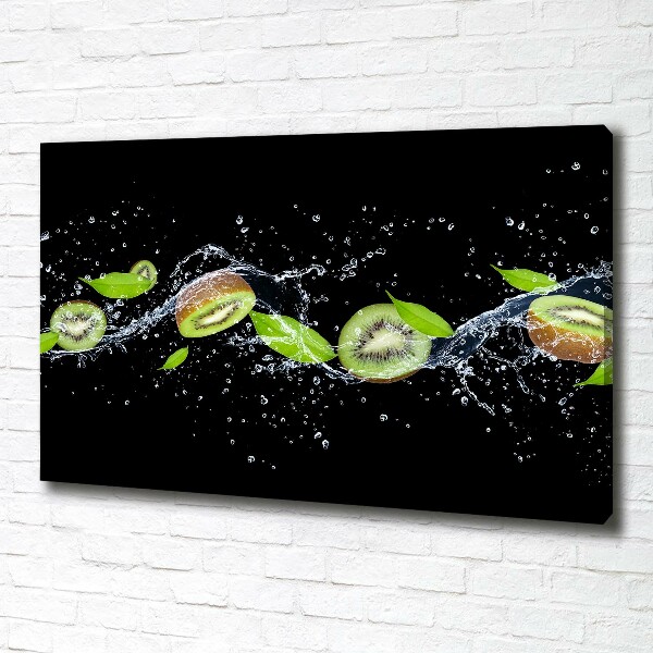 Canvas wall art Kiwi and water