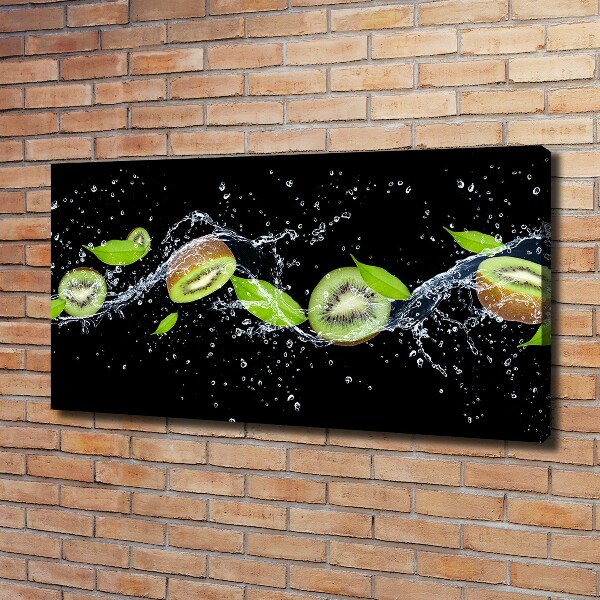 Canvas wall art Kiwi and water