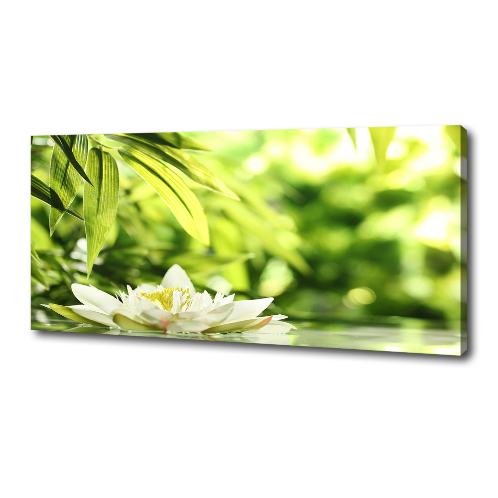 Canvas wall art water lily