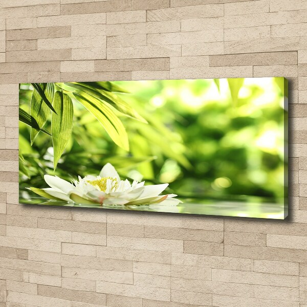 Canvas wall art water lily